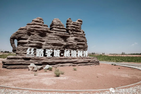 全新亮相丨新駝，就是新疆駱駝奶，新疆歡迎您！